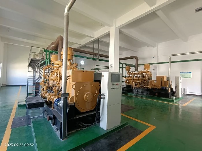 700KW biogas genset(001)