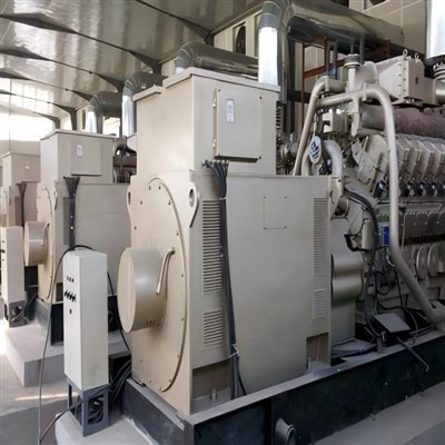 1000 Kw generator prirodnog plina